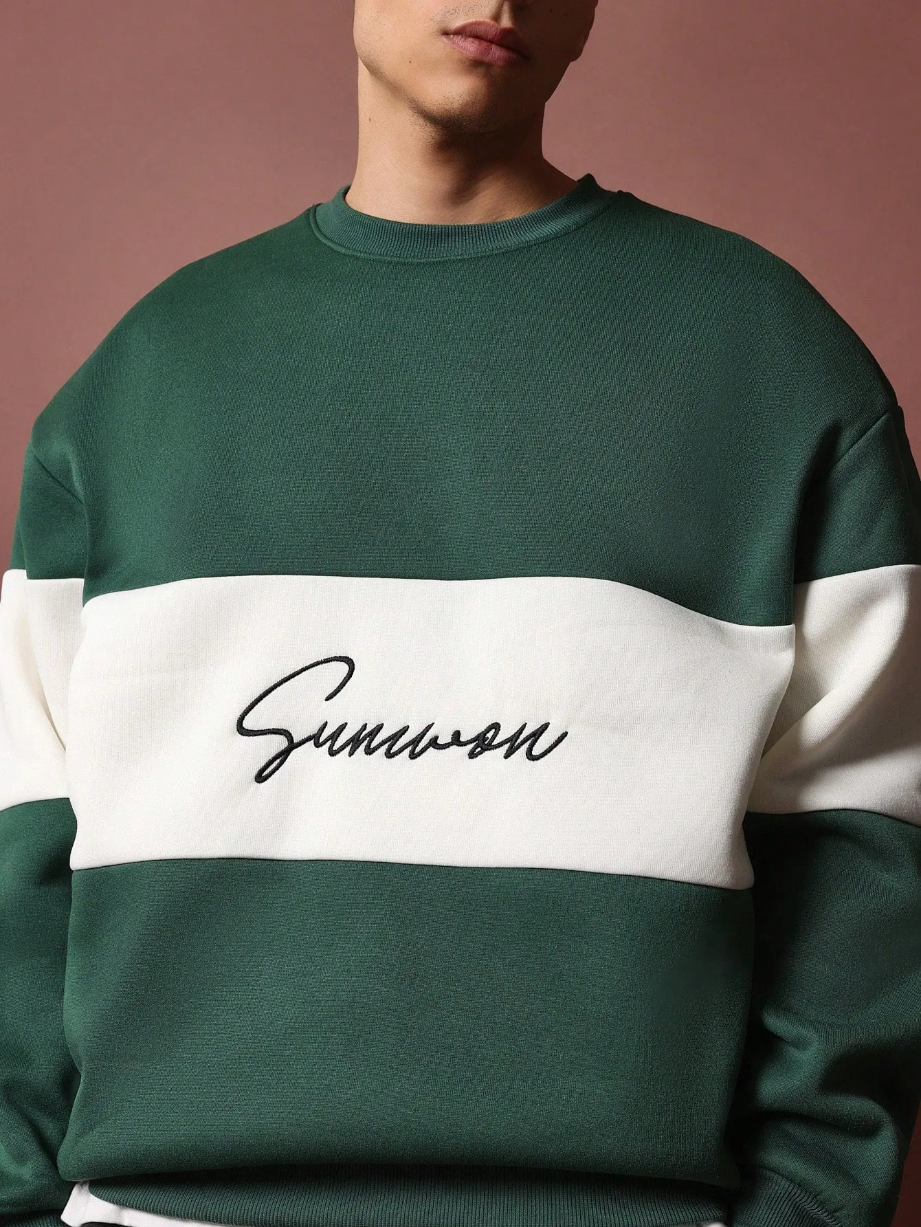 Regular Fit Colour Block Sweatshirt With Embroidery